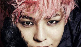 圈内人爆料白莲花,圈内人爆料惊人内幕