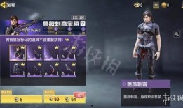 蔷薇刺客爆料视频下载安装